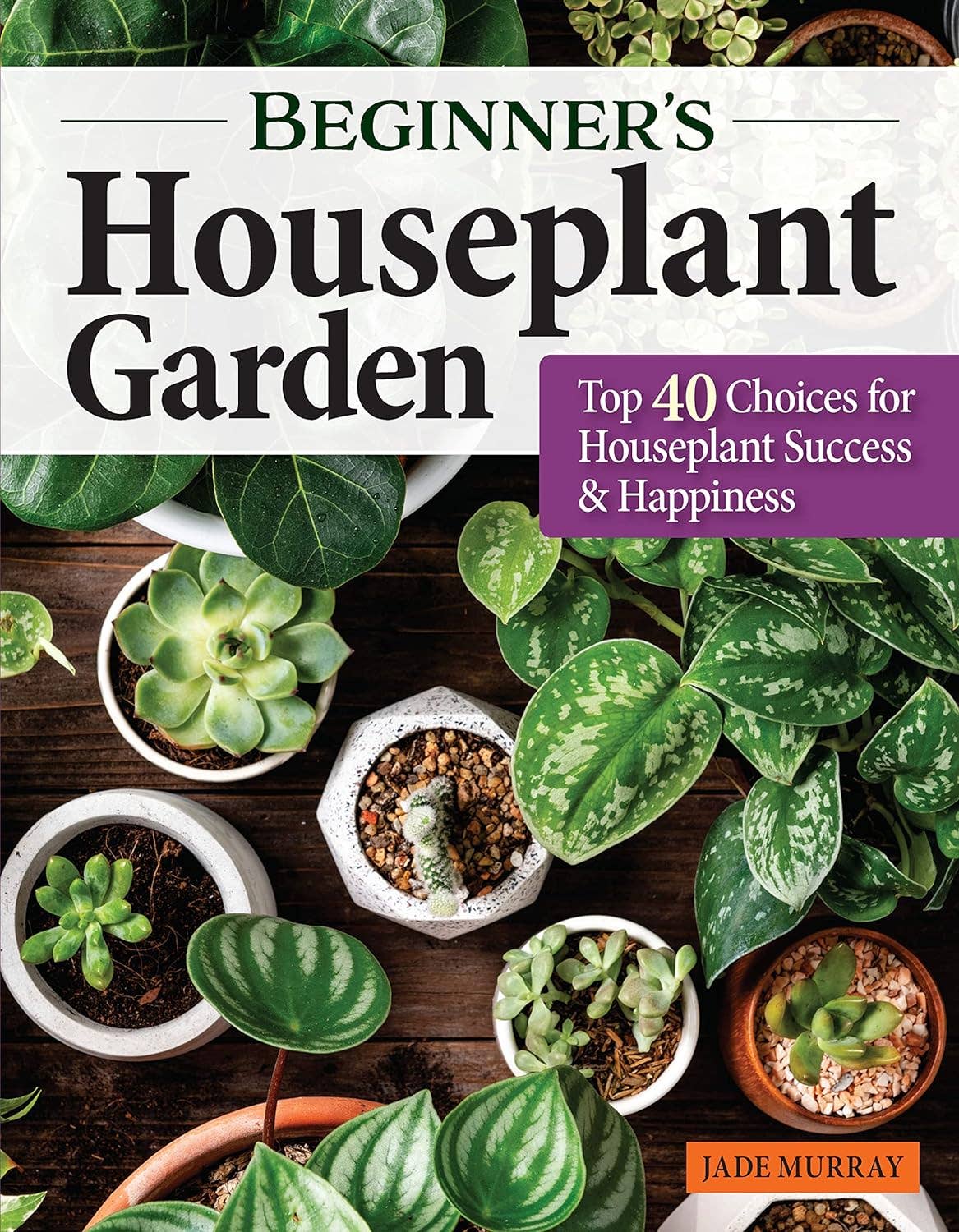 Beginner's Houseplant Garden - Top 40 Choices for Success