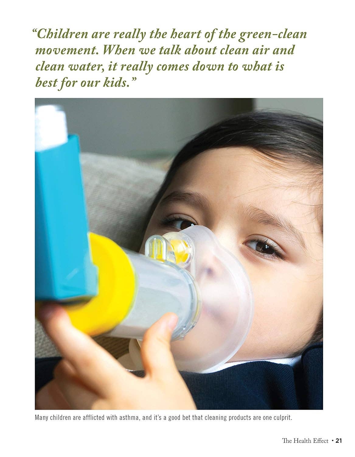 Green Clean - Natural Cleaning Solutions for Every Room