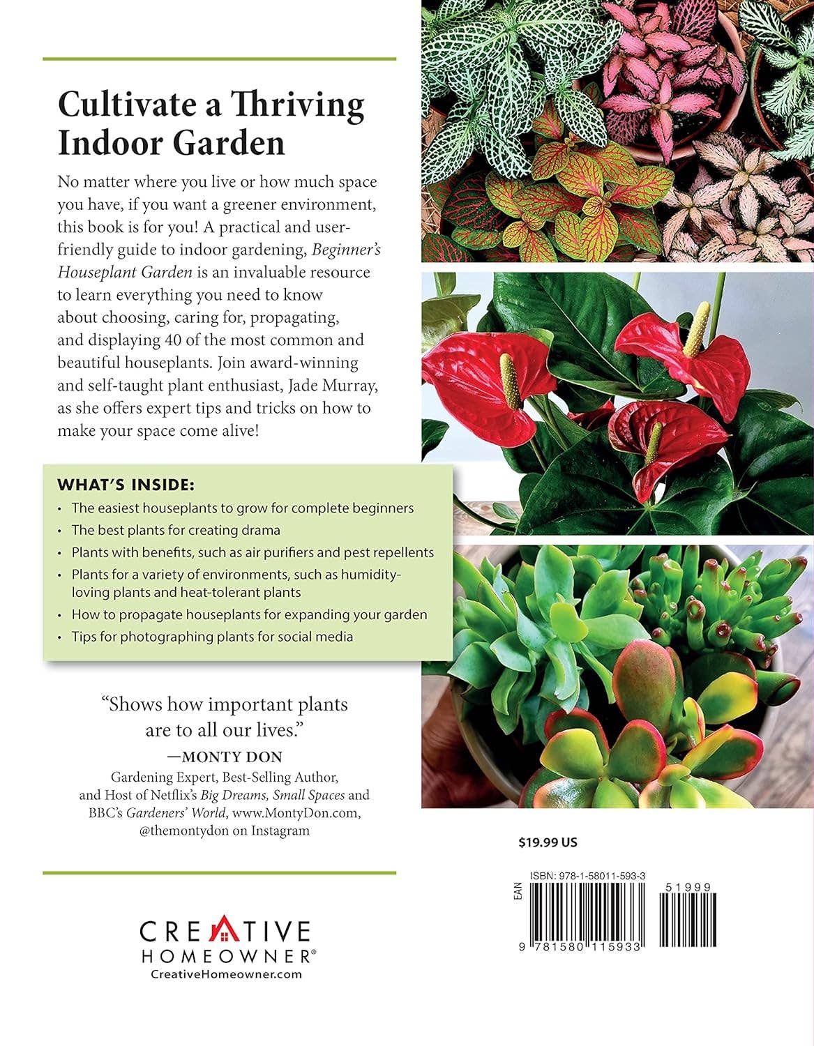 Beginner's Houseplant Garden - Top 40 Choices for Success