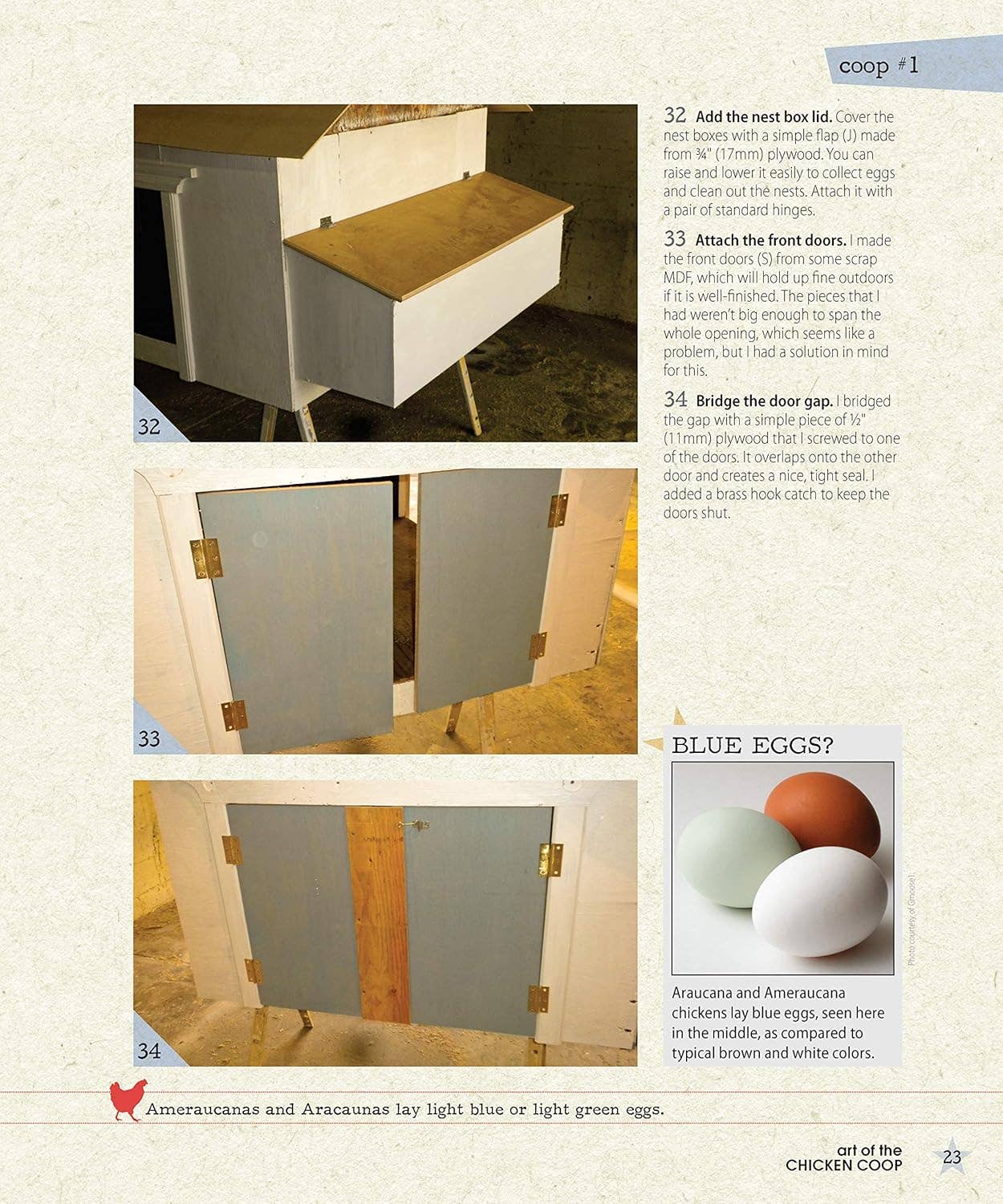 Art of the Chicken Coop -An Essential Guide to Housing Peeps