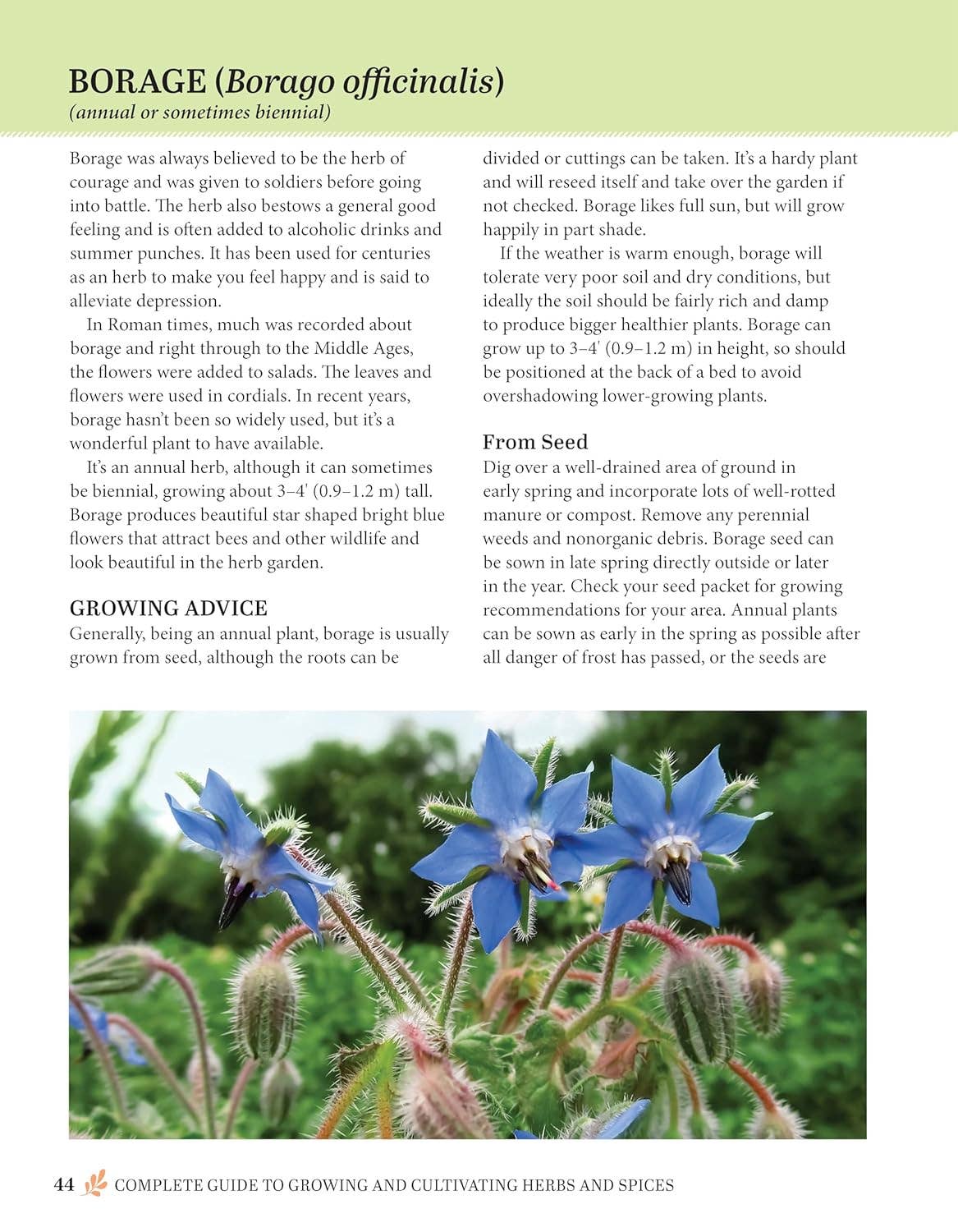 Complete Guide to Growing and Cultivating Herbs & Spices