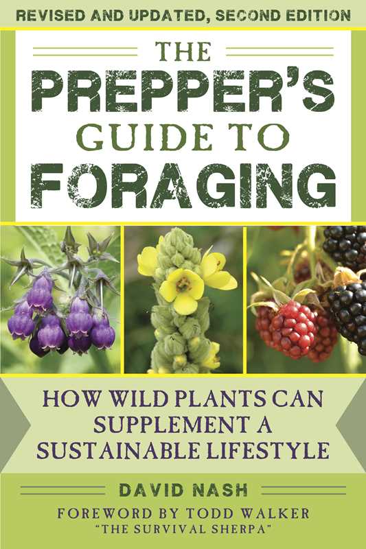 Prepper's Guide to Foraging by David Nash: Paperback; 192 pages / English