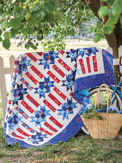 Jelly Roll Quilts for All Seasons Pattern Book