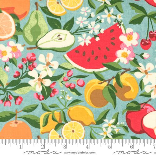 Moda Fabric Fruit Loop by BasicGrey Jenipapo 30730 16 Aqua Fruit