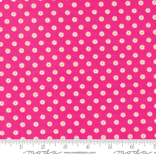 Moda Fabrics Vintage Soul Cathe Holden 7439 20 Hot Pink Daisy