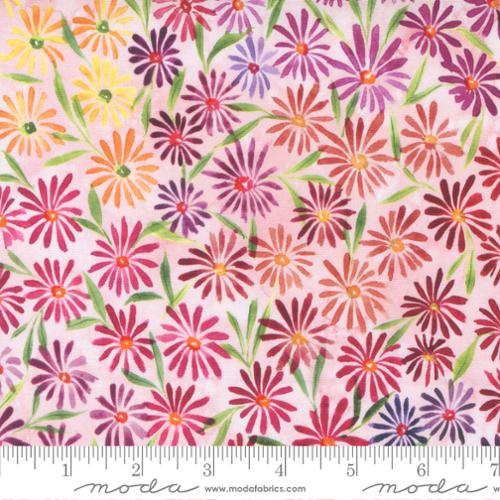 Eufloria Blush 39744 18