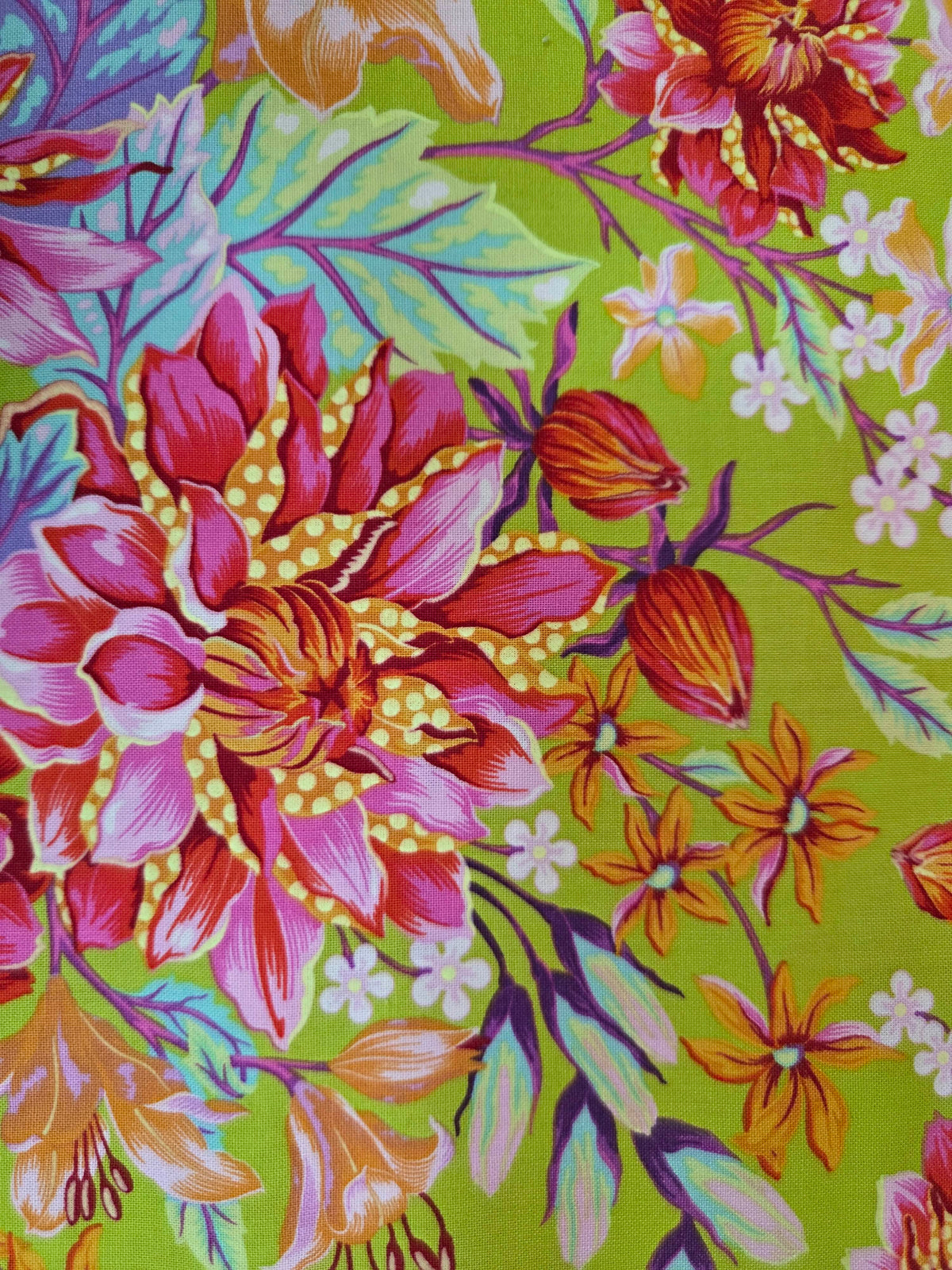 Untamed – Hello Dahlia Moonbeam