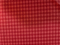 Winter Park – Red Gingham