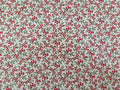 A Christmas Carol – Christmas Berry Cream