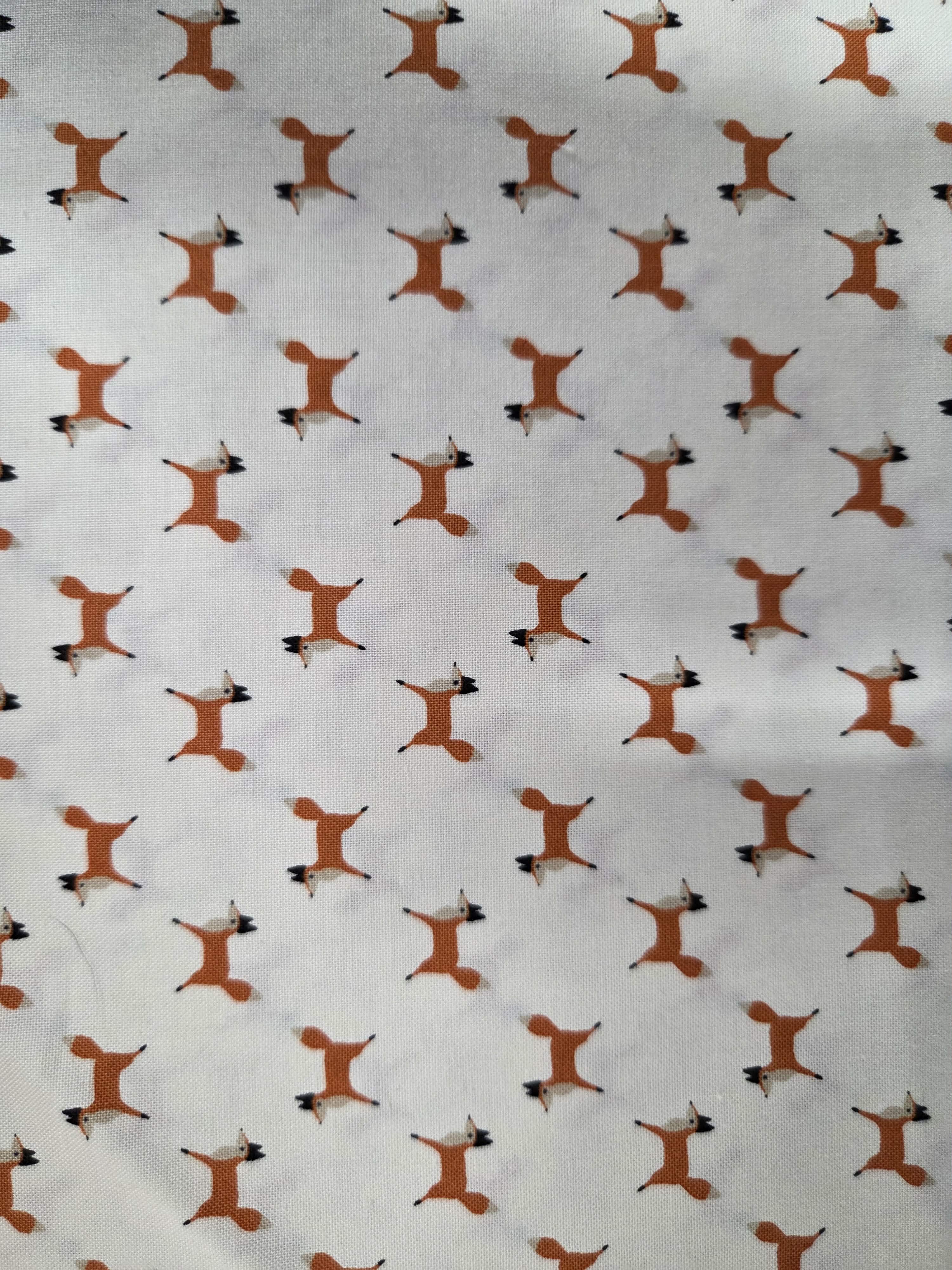 Woodland Wonder – Foxes