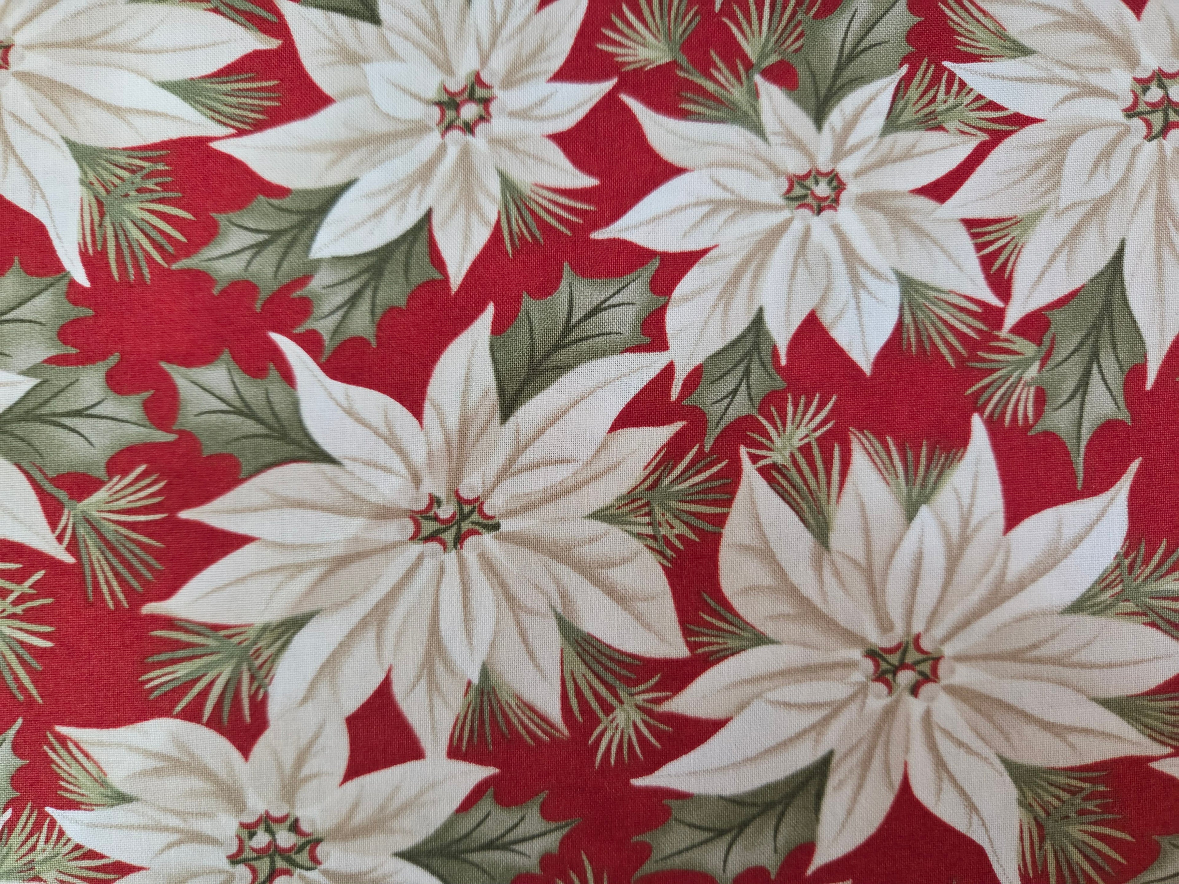 A Christmas Carol – Ivory Poinsettias