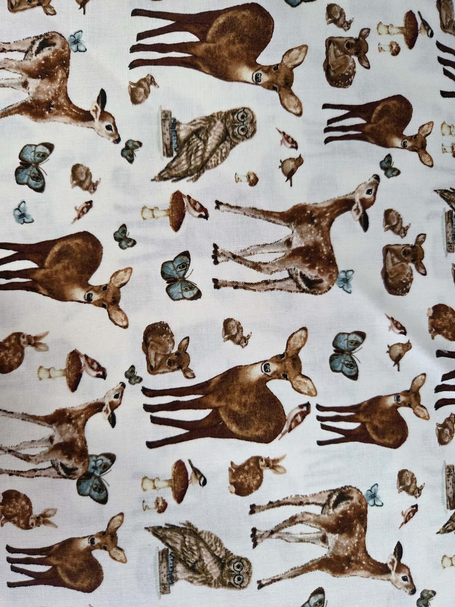 Whimsical Woods – Woodland Friends Fabric