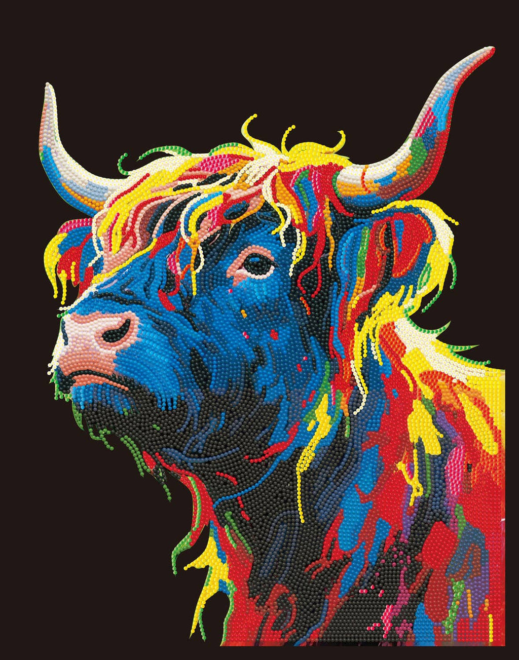 Highland Cow