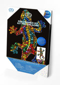 Gekko Paua Pre-Framed Kit - 10.6" x 16.1"