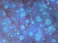 Midwinter Magic – Starry Sky Dark Blue