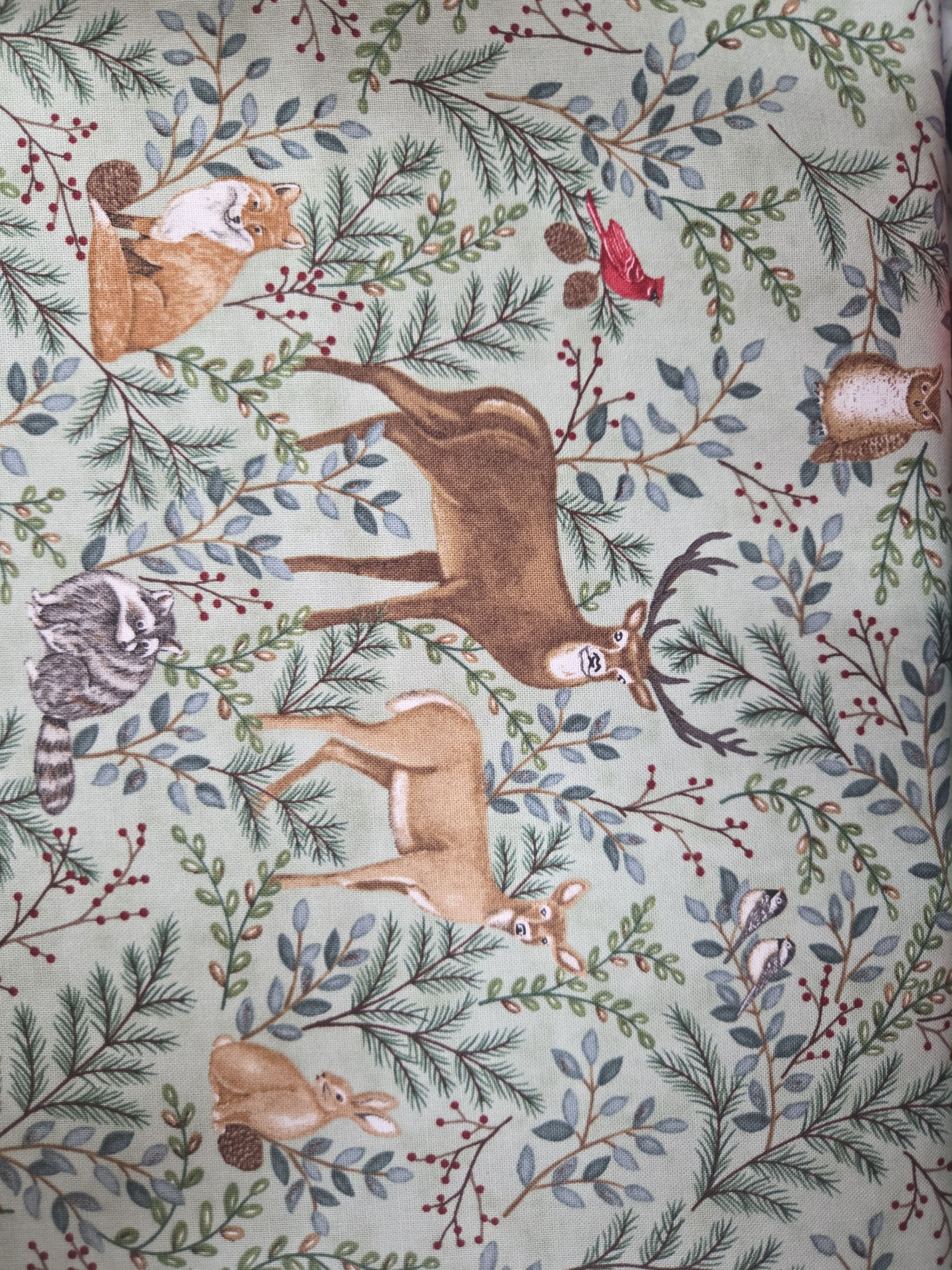Woodland Winter – Botanical Woodland on Sage
