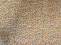Autumn Forest – Tiny Leaves in Golden Ochre
