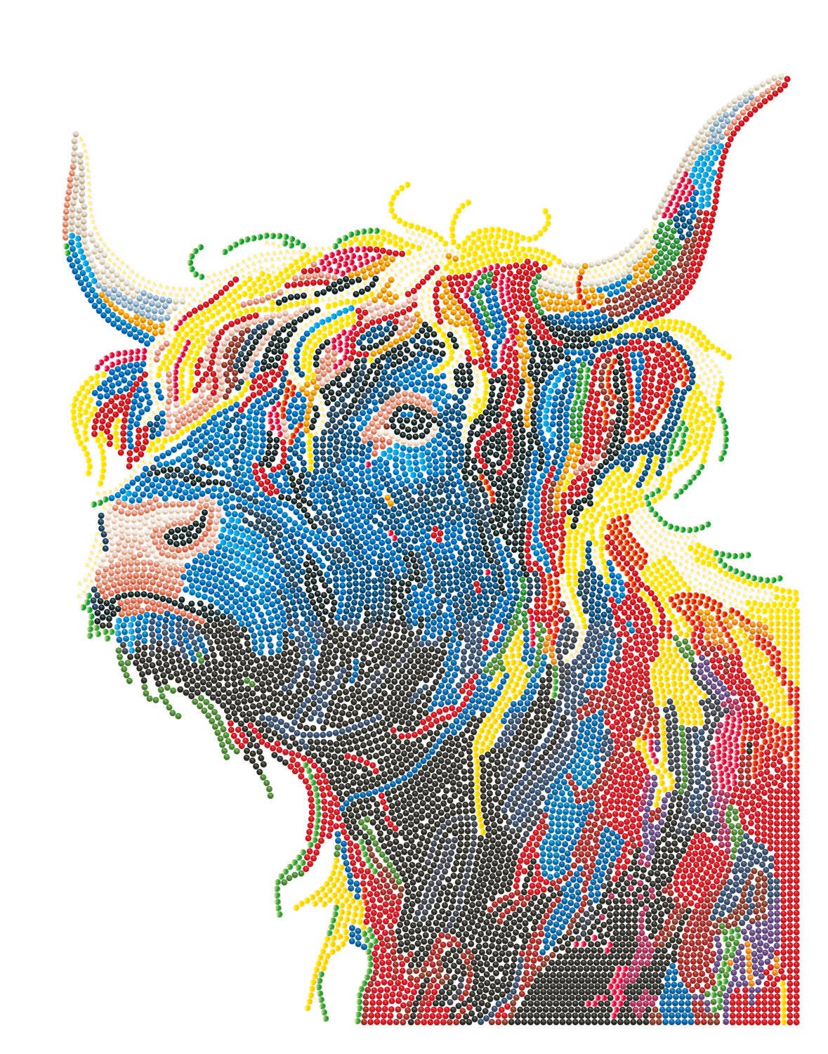 Highland Cow
