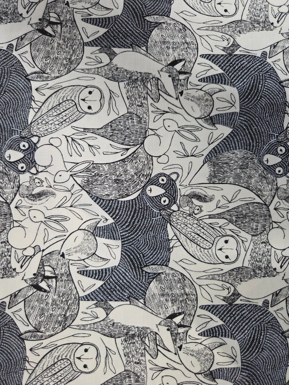 Woodland Wonder – Black & White Woodland Animals