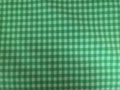 Winter Park – Green Gingham