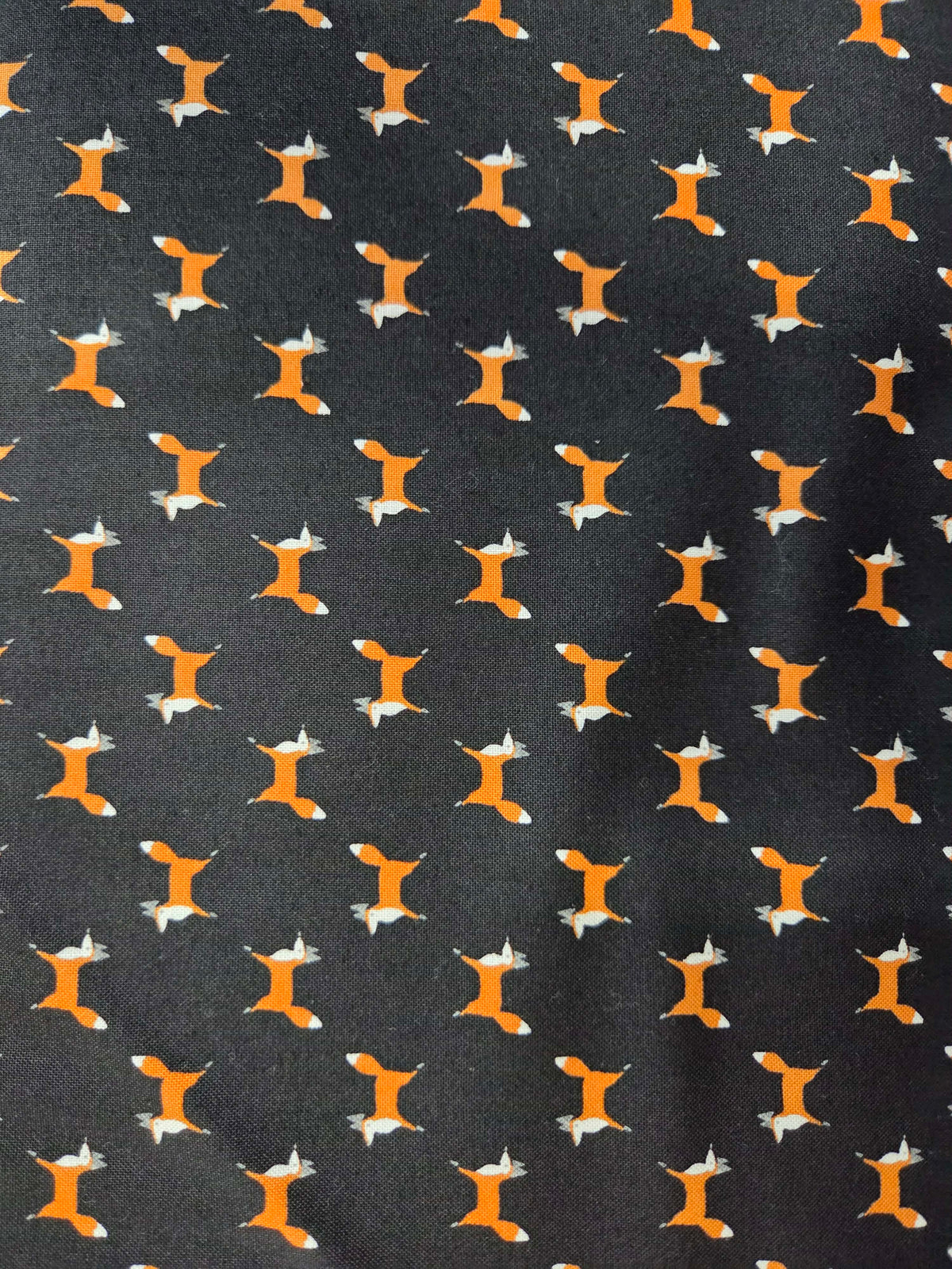Woodland Wonder – Black Foxes