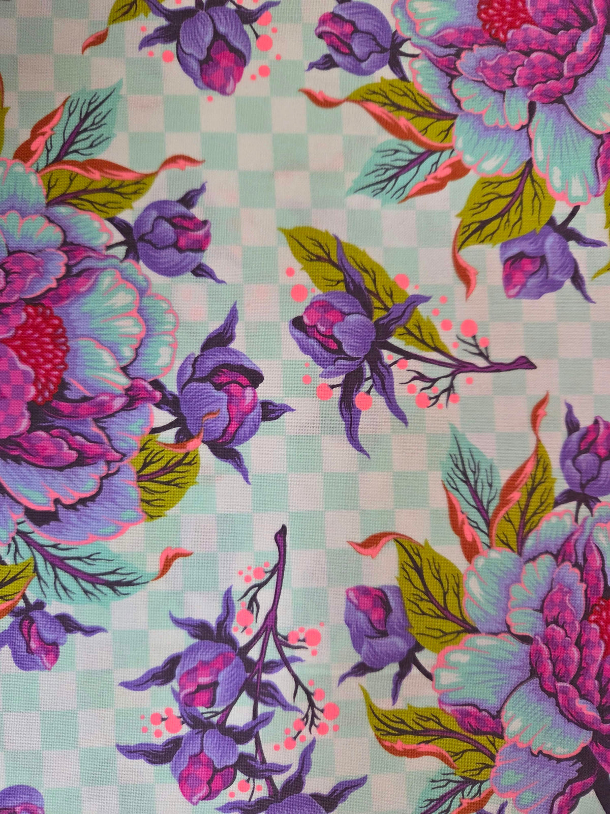 Untamed – Peony for Your Thoughts Nova