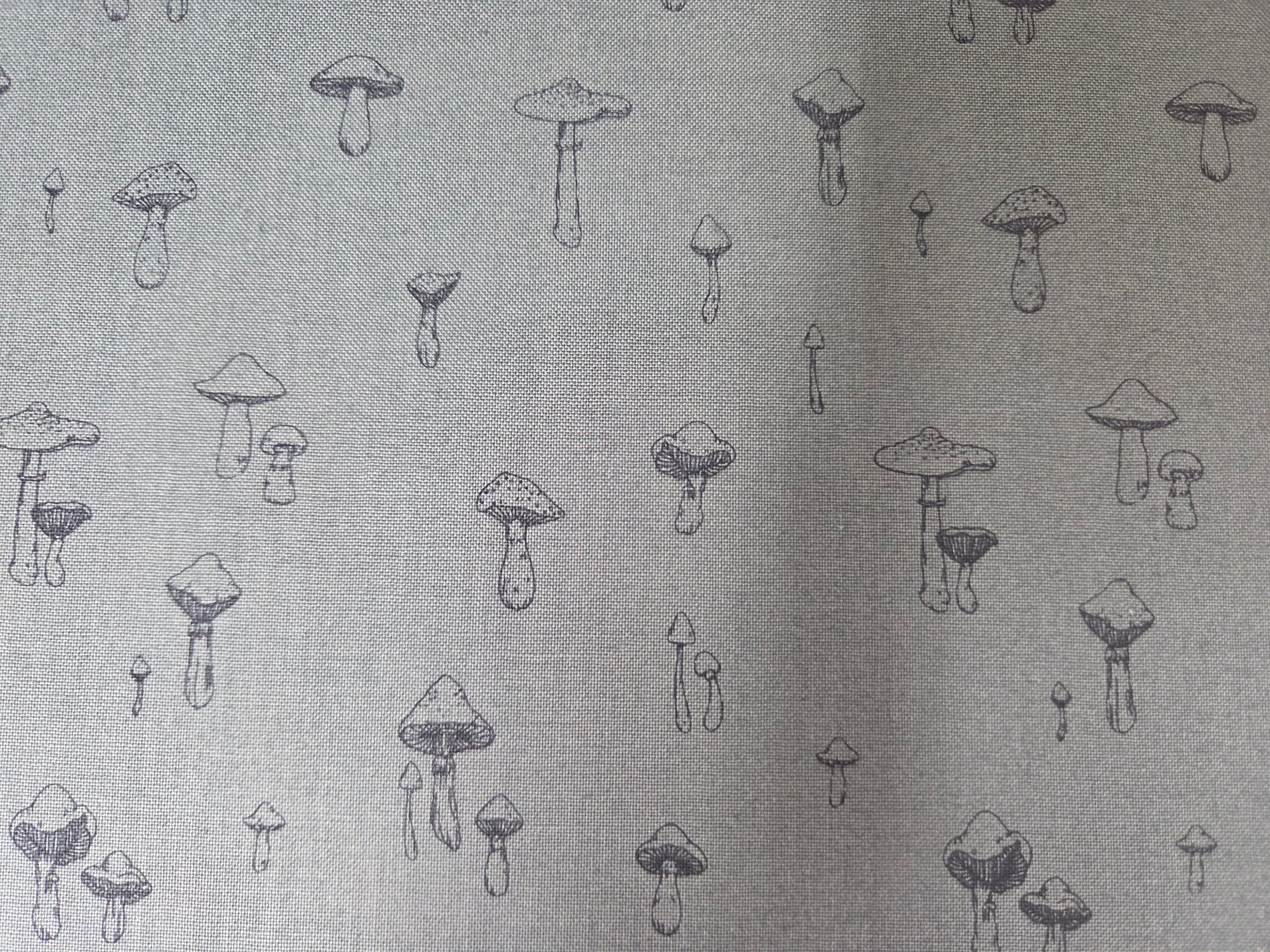 Autumn Forest – Woodland Sketches in Charcoal