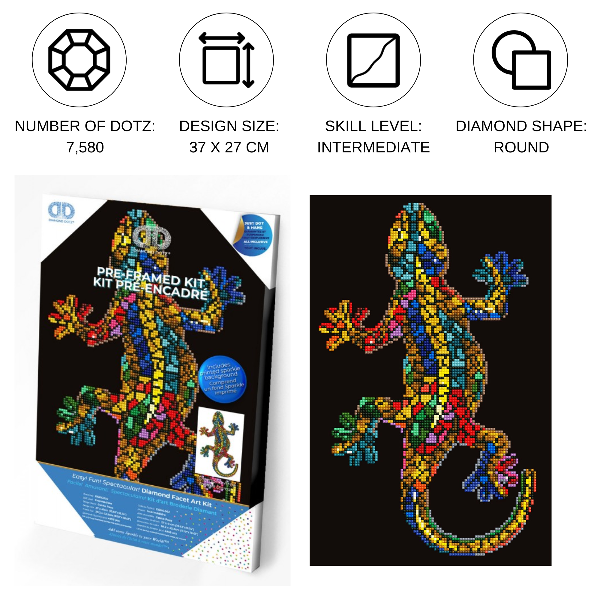 Gekko Paua Pre-Framed Kit - 10.6" x 16.1"