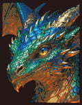 Kaleidoscope Dragon