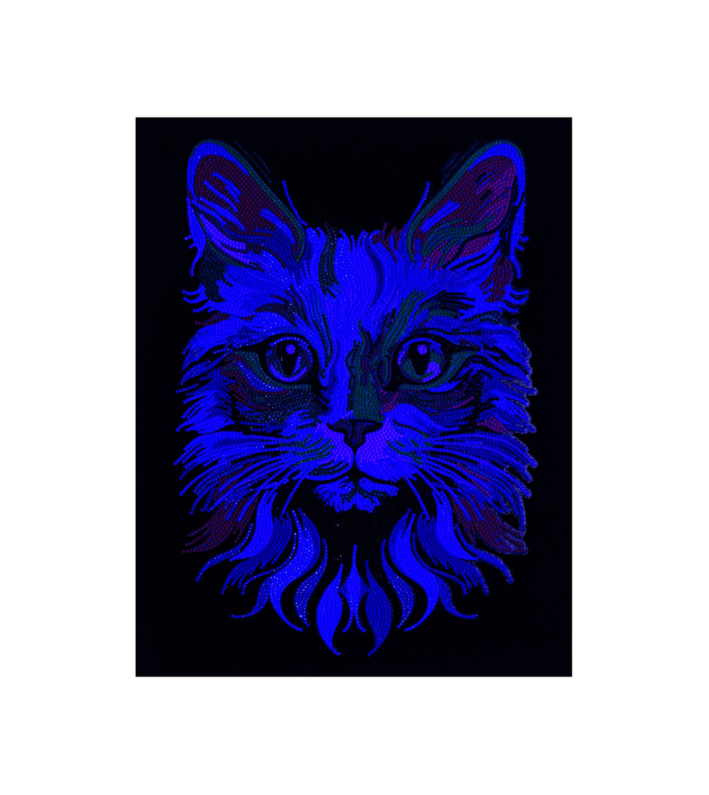 Neon Flock Cat