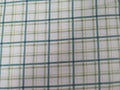 I Love Fall Most of All – Soft Green Plaid