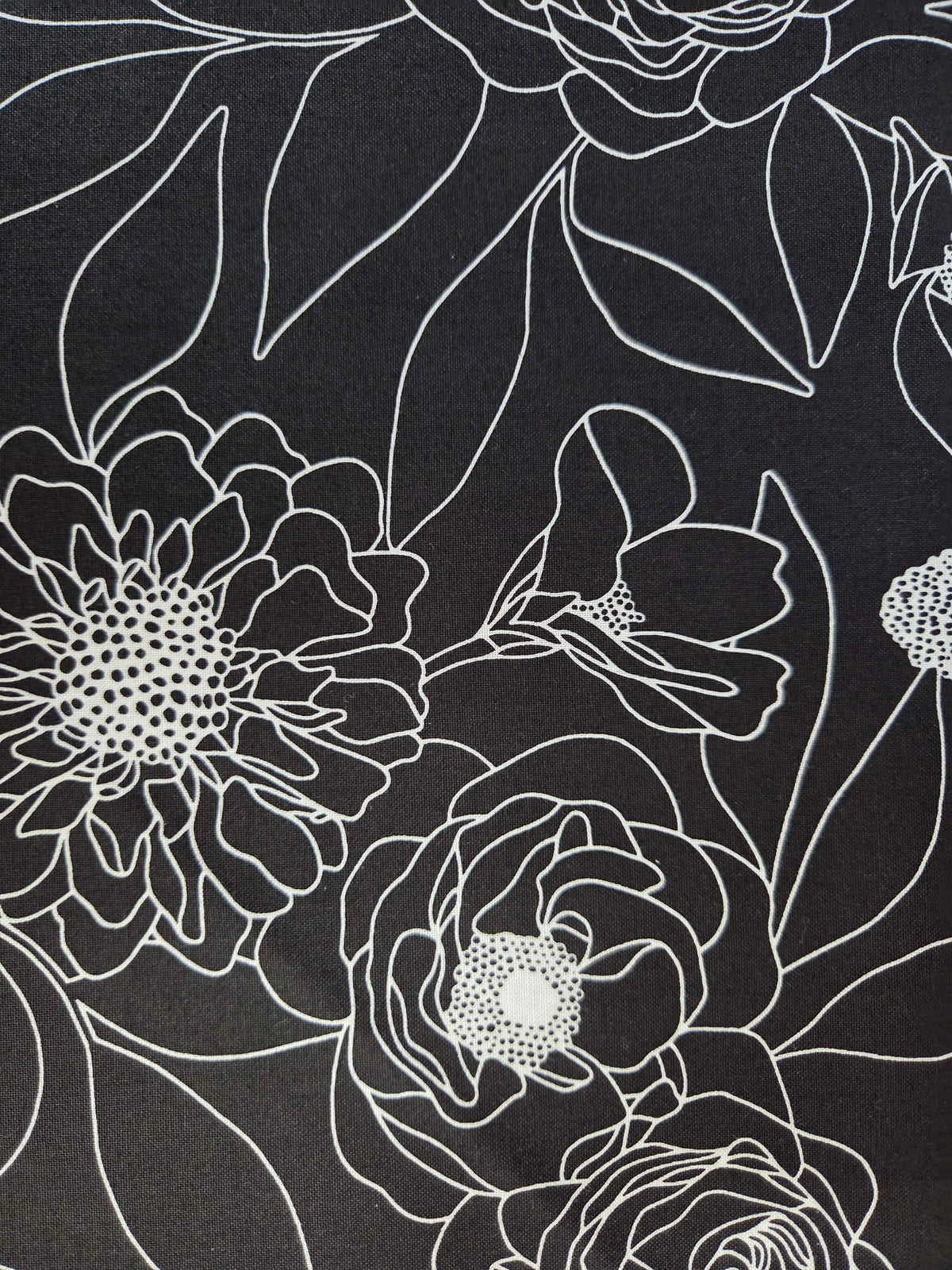 Botany – Black & White Floral