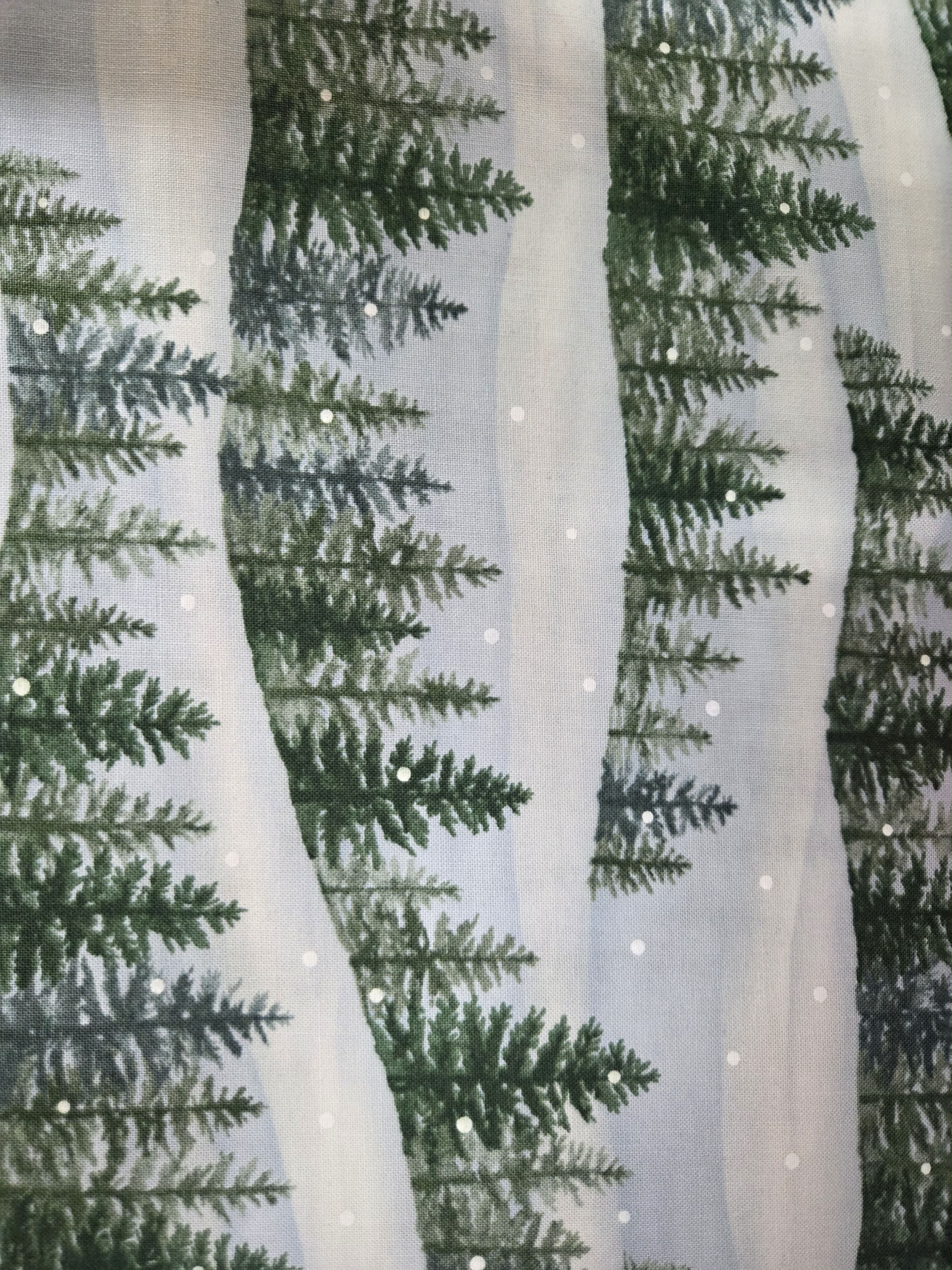 Woodland Winter – Snowy Evergreens