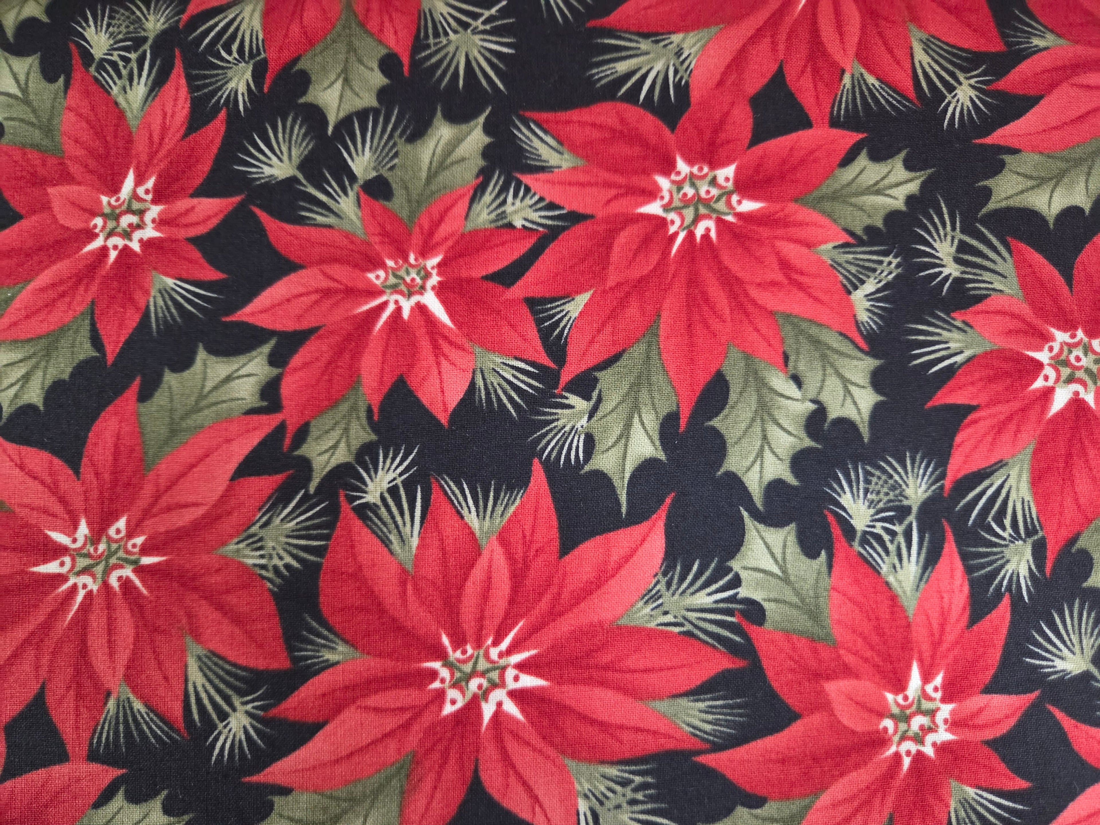 A Christmas Carol – Red Poinsettias on Black
