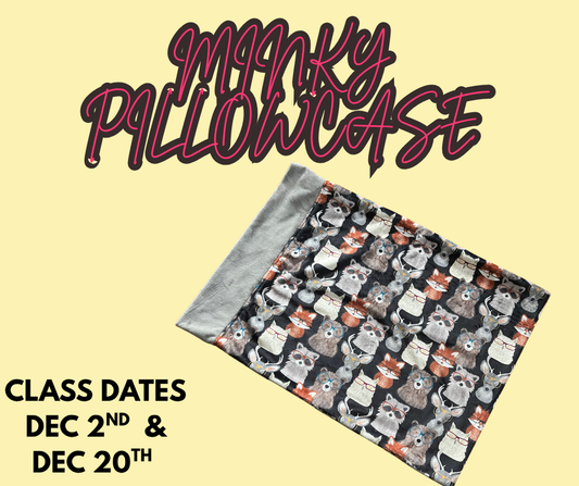 Minky Pillowcase- 4 hour class